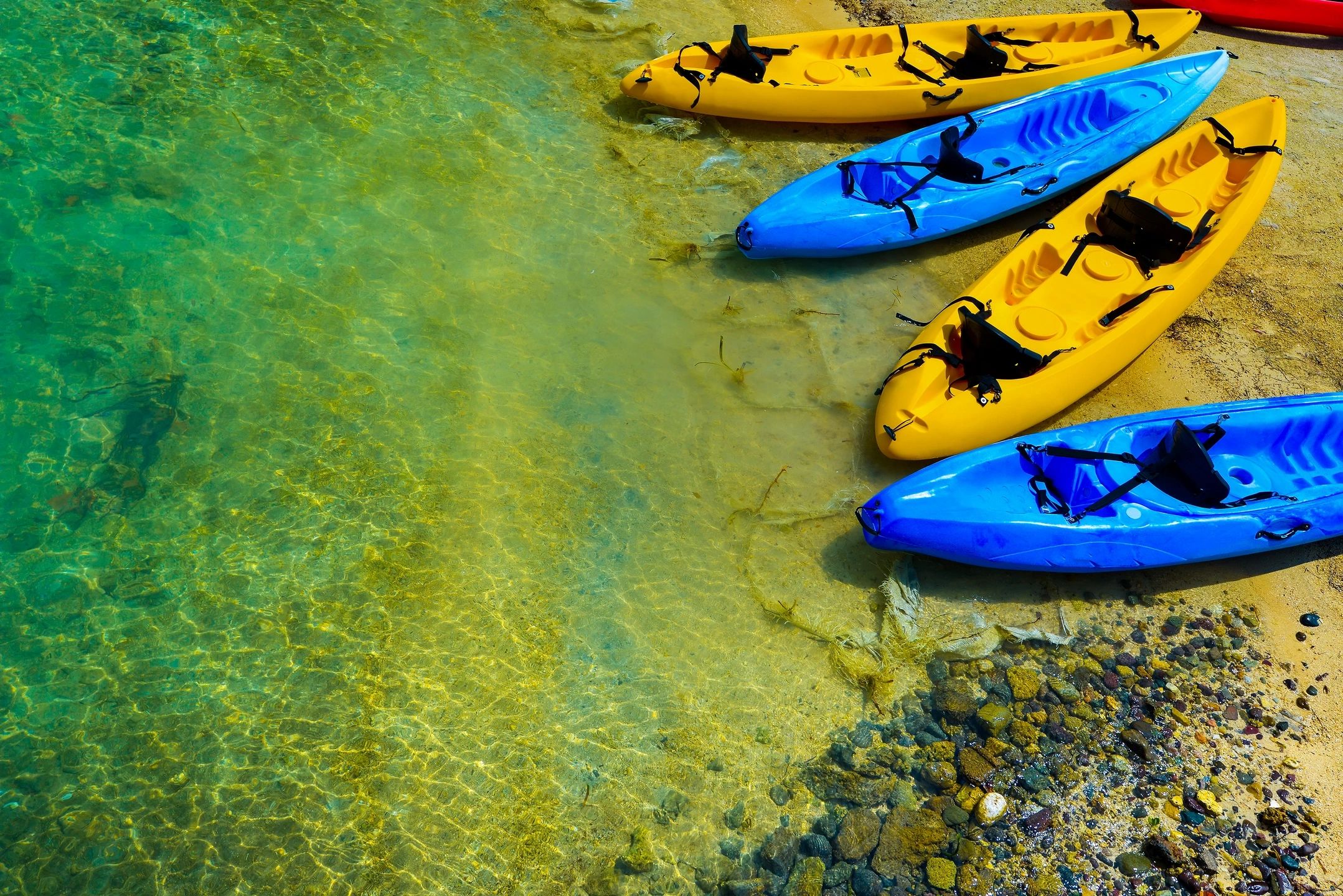 Colorful kayaks floating on clear coastal water